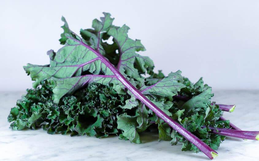 Chou kale frisé violet (botte) Les légumes Arnaud - La Ferme d'Arnaud - Coutiches