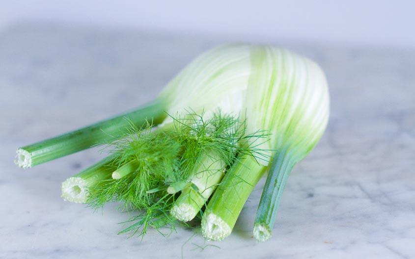 Fenouil bio (pièce) Les légumes bio Dries Delanote - Le monde des mille couleurs - Dikkebus Belgique